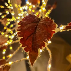 EMINZA Arbre lumineux 600 LED (H210 cm) Peuplier Elissa Blanc chaud Sale