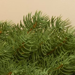 EMINZA Guirlande de sapin (300 cm - D25) Utah Luxe Vert sapin Sapin vert Online