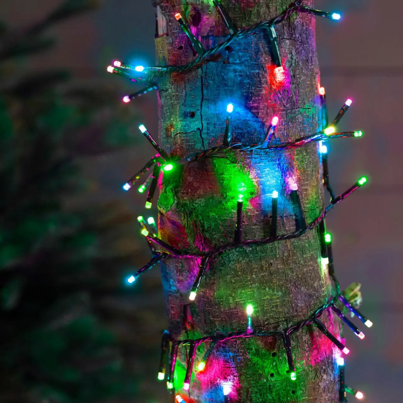 KAEMINGK Guirlande lumineuse 34 m 1500 LED câble vert Luxe Multicolore pastel Multicolore Pastel Câble Vert Best