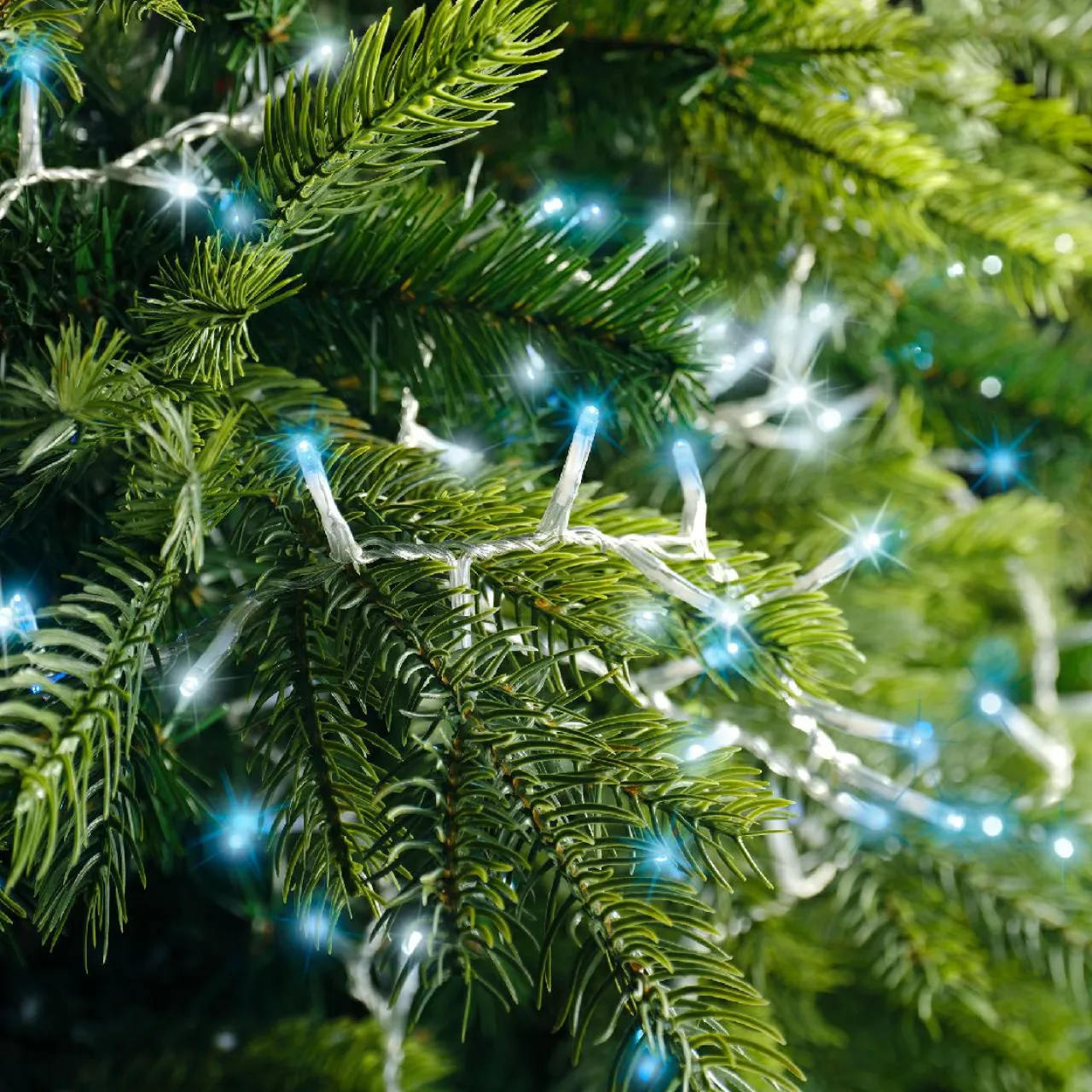 KAEMINGK Guirlande lumineuse 11 m 500 LED câble transparent Luxe Bicolore Blanc et bleu Bicolore Bleu / Blanc froid - câble transparent Discount