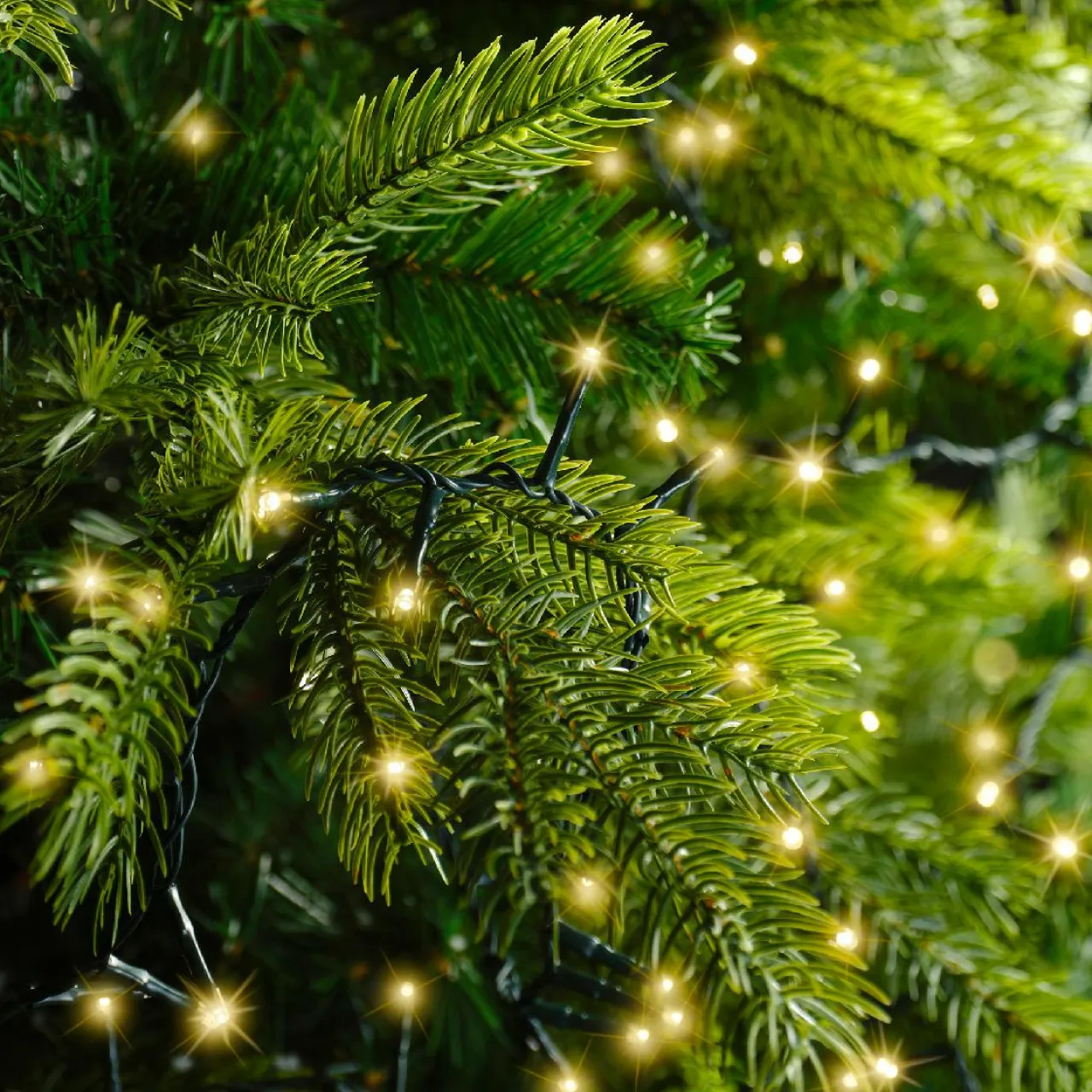 KAEMINGK Guirlande lumineuse 7,50 m 350 LED câble vert Luxe Blanc chaud Champagne Blanc chaud Champagne - câble vert Online