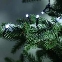 KAEMINGK Guirlande lumineuse à piles 1,70 m 24 LED câble noir Durawise Blanc froid Blanc Froid - câble noir
