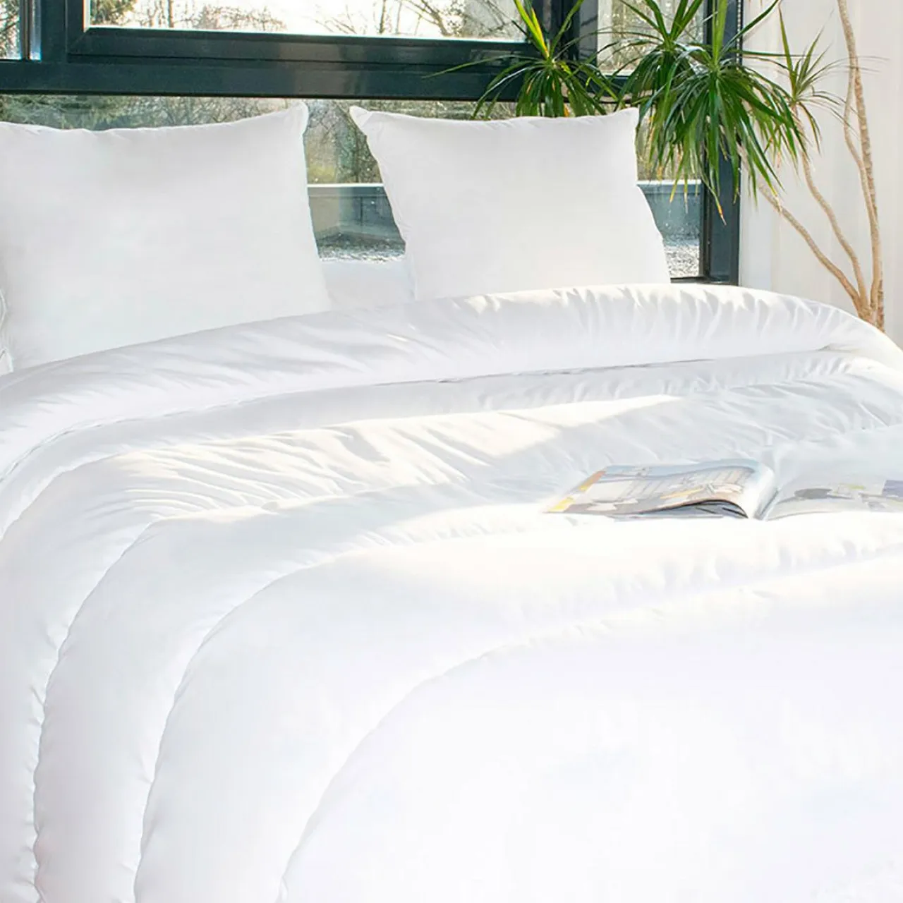 EMINZA Lot Couette chaude anti-acariens (240 x 220 cm) + 2 Oreillers (60 x 60 cm) Comète he Blanc