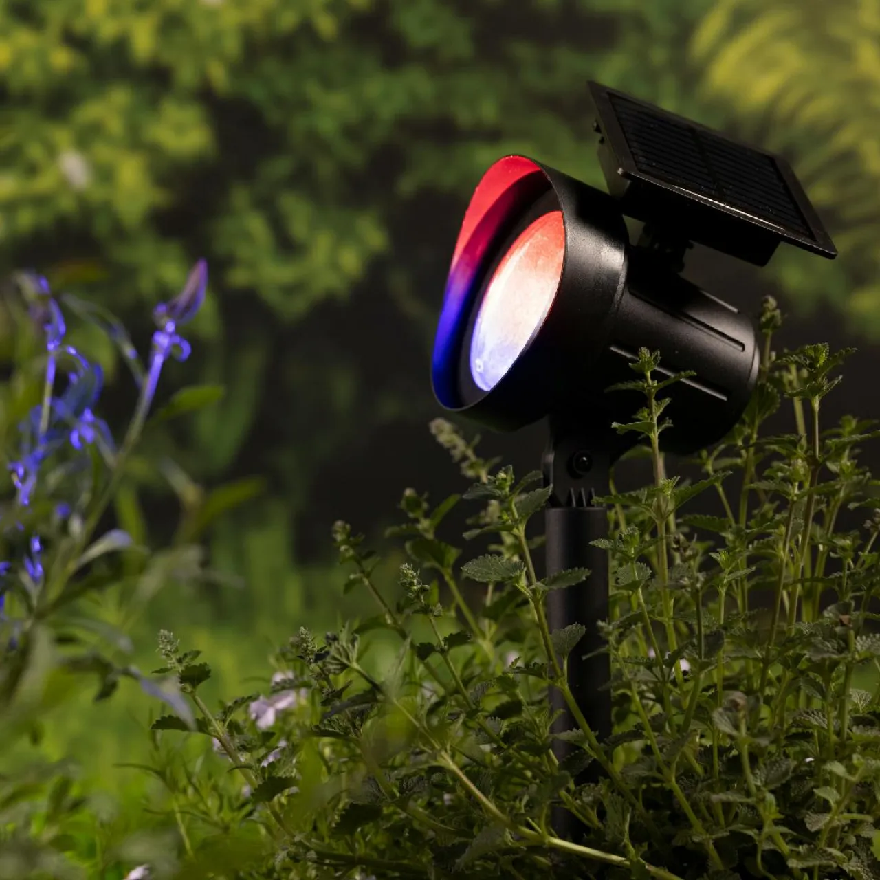 KAEMINGK Lot de 2 bornes de jardin solaire 25 lumens (H31 cm) Spots Blanc chaud et Multicolore Hot