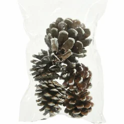 KAEMINGK Lot de 5 pommes de pin Pinus nigra enneigées Naturel Marron Sale