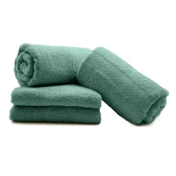 douceur d'intu017drieur Lot de 4 serviettes de toilette coton (70 x 130 cm) Elegance céladon Vert Clearance