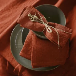 EMINZA Lot de 3 serviettes lin lavé (40 x 40 cm) Louise Terracotta Best