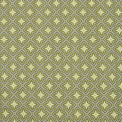 EMINZA Nappe rectangulaire coton enduit (150 x 350 cm) Gloria e Vert New