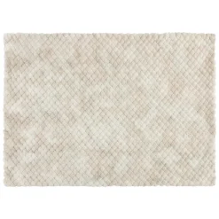 Atmosphera, cru017dateur d'intu017drieur Plaid fausse fourrure (120 x 160 cm) Adriel Beige Best