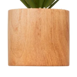 Atmosphera, cru017dateur d'intu017drieur Plante artificielle avec pot (H17 cm) Sao plante grasse Vert Outlet