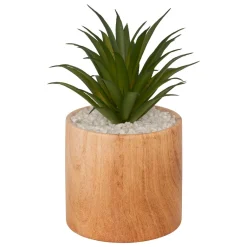 Atmosphera, cru017dateur d'intu017drieur Plante artificielle avec pot (H17 cm) Sao plante grasse Vert Outlet