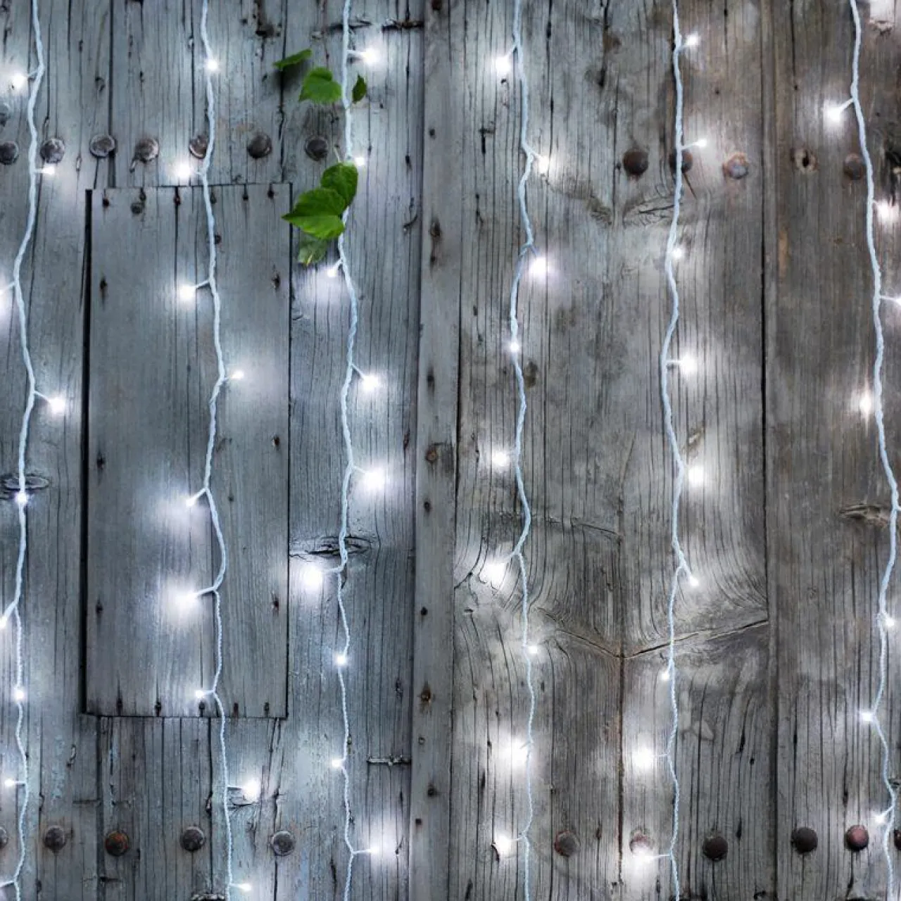 BLACHERE Rideau lumineux H2 m L2 m 96 LED Interconnectable Blanc froid Online