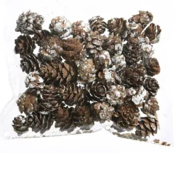 KAEMINGK Sachet de pommes de pin (45 gr) Naturel Sale