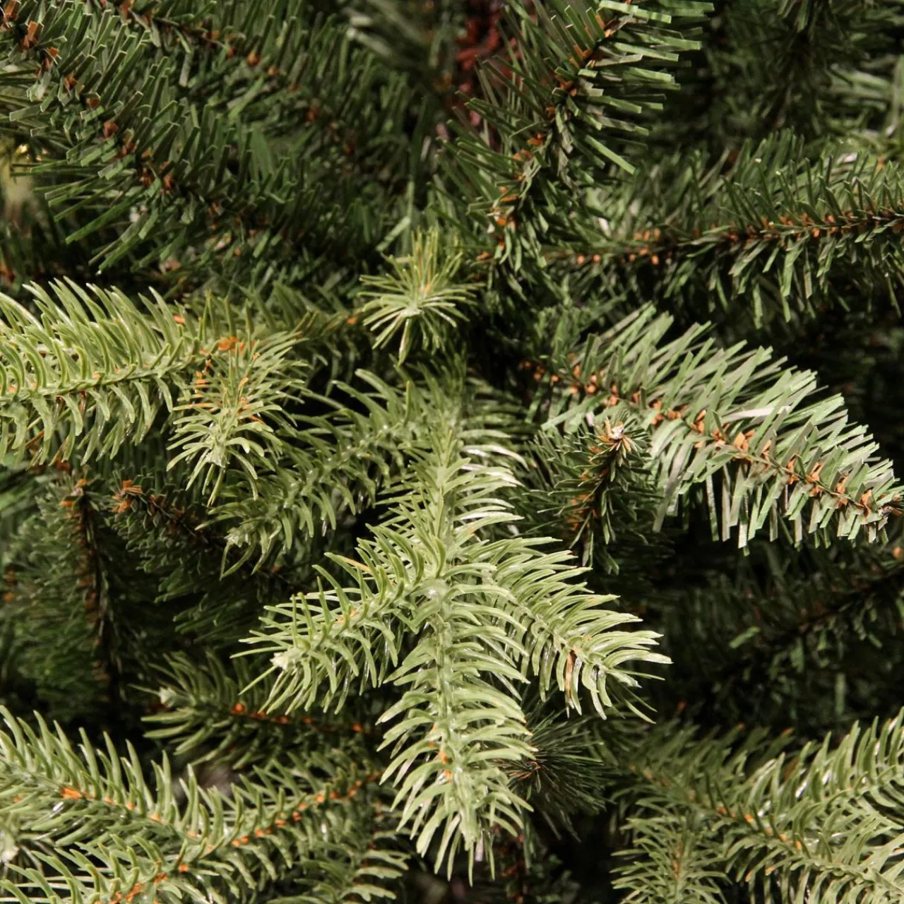 EMINZA Sapin artificiel de Noël (H210 cm) Allix Vert sapin Sapin vert Hot