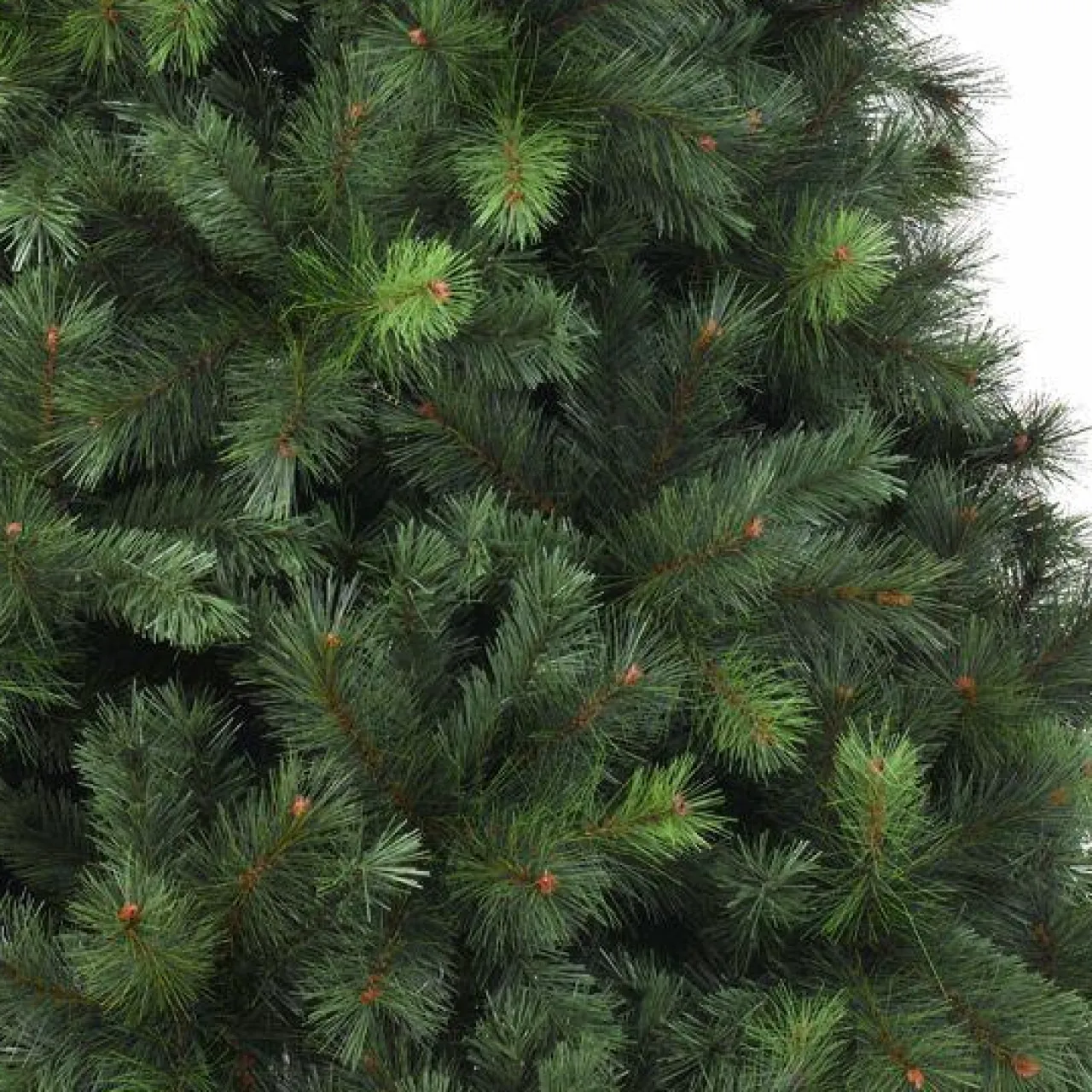 EMINZA Sapin artificiel de Noël (H300 cm) Edmonton Vert sapin Sapin vert Sale