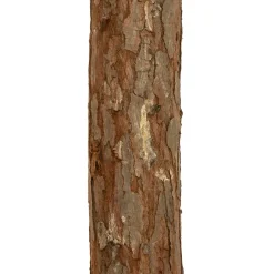 FEERIC LIGHTS Sapin artificiel de Noël (H150 cm) Nordstar Vert enneigé Sapin enneigé Outlet