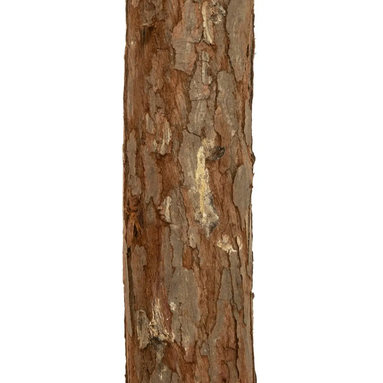 FEERIC LIGHTS Sapin artificiel de Noël (H150 cm) Nordstar Vert enneigé Sapin enneigé Outlet