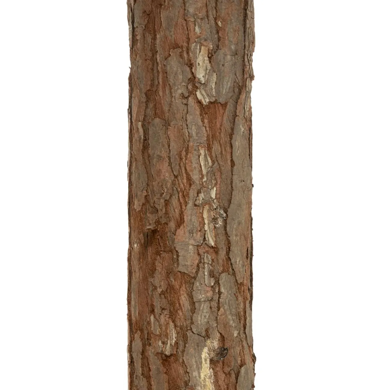 FEERIC LIGHTS Sapin artificiel de Noël (H180 cm) Nordstar Vert enneigé Sapin enneigé Clearance