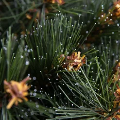 EMINZA Sapin artificiel de Noël (H150 cm) Stockholm Vert finition perlée Vert givré Online