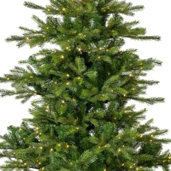 EMINZA Sapin de Noël artificiel lumineux 550 LED (H210 cm) Glorious Vert sapin Sapin vert lumineux Discount