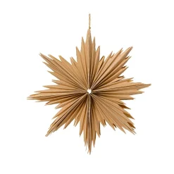 KAEMINGK Suspension de Noël en papier (D30 cm) Étoile glacée Naturel