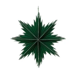 KAEMINGK Suspension de Noël en papier (D30 cm) Étoile glacée Vert romarin Clearance