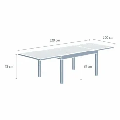 MOBELLIA Table de jardin extensible aluminium 12 places (200/320 x 100 cm) Murano Bronze Best