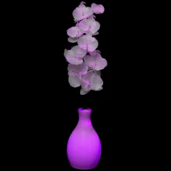 Feeric Lights & Christmas Vase orchidée lumineux à piles Multicolore Clearance